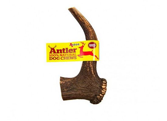 Antler Κέρατο Ελαφιού Antler Dog Chews