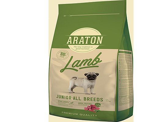 Araton Junior Lamb