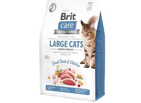 BRIT CARE Adult Large cat Grain Free