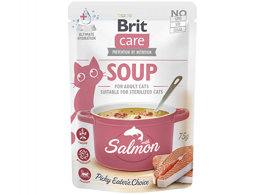 Cat Soup
