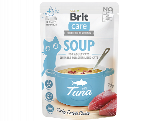 Cat Soup