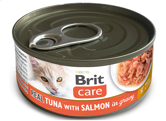  Cat Cans
