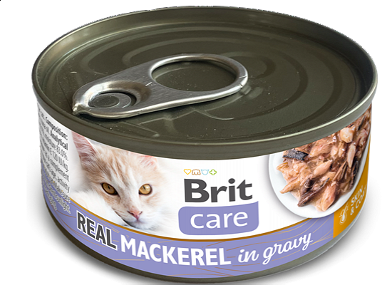  Cat Cans