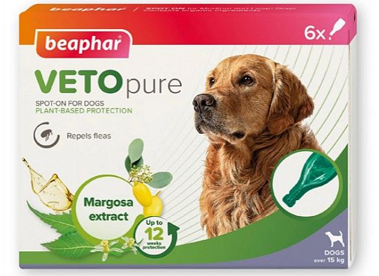 Biocton veto pure Spot On - Αμπούλες
