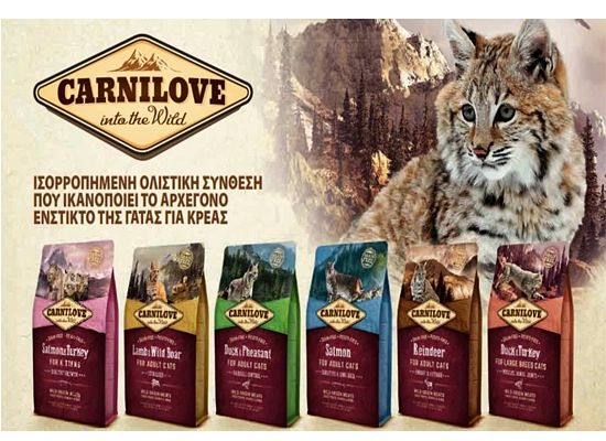 Carnilove Cat Grain Free Kittens - Salmon & Turkey. 