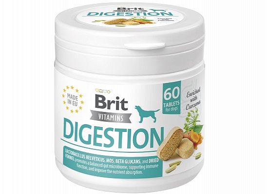 Vitamins Digestion