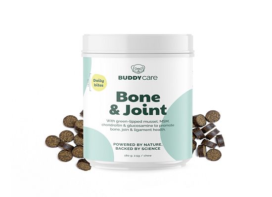 Buddy Bone & Joint