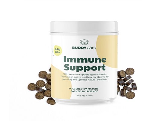Buddy Immune Support
