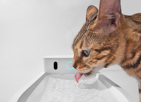 Έξυπνη ποτίστρα σιντριβάνι νερού για κατοικίδια Catlink Pure