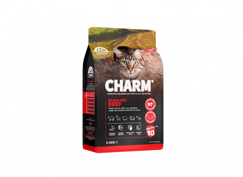 Fresh Beef For Cats
