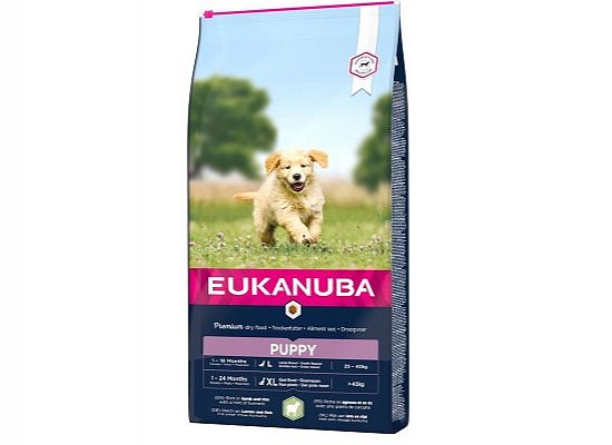 Eukanuba Puppy Large Breed Αρνί & Ρύζι