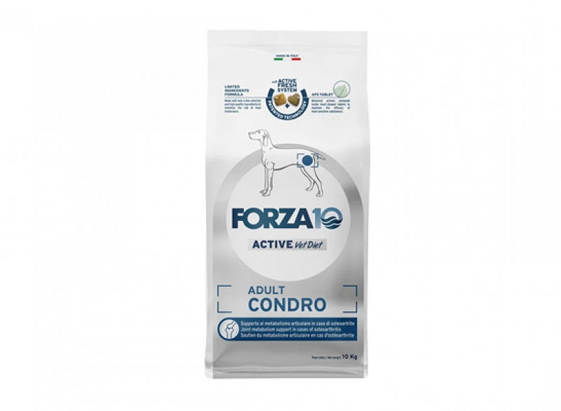 Dog Adult Condro 