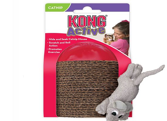 Kong Scamper cat toy
