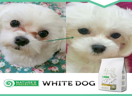 SUPERIOR CARE -WHITE DOGS ADULT SMALL & MINI LAMB