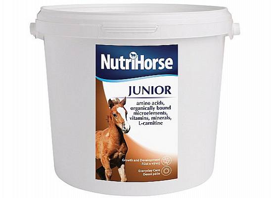 Junior Horse