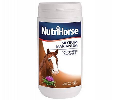 Silybum Marianum for Horse