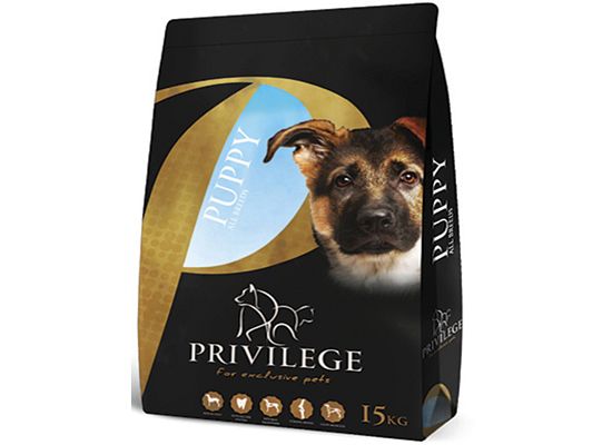 Privilege Puppy, All Breeds 24016