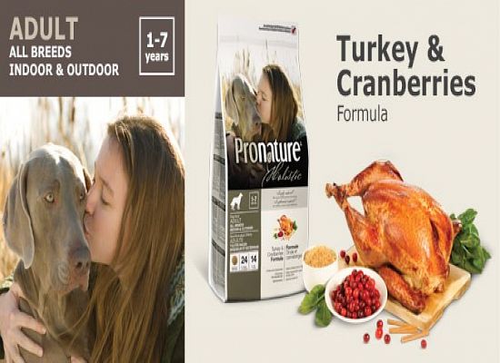 Holistic - Adult - Turkey  Cranberries 