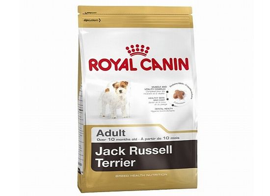 Royal Canin Jack Russel Terrier Adult
