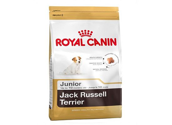 Royal Canin Jack Russel Terrier Junior