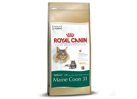 Royal Canin Maine Coon