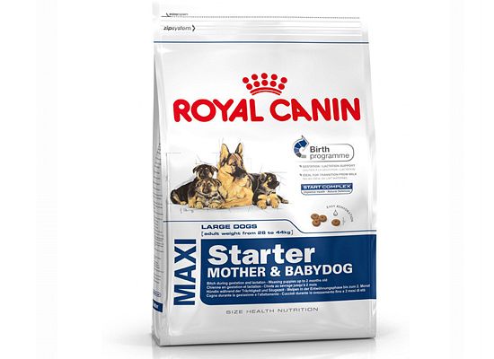 Royal Canin Maxi Starter