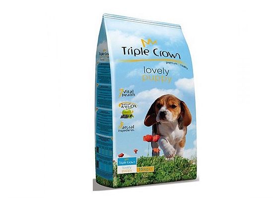 Triple Crown Lovely Puppy
