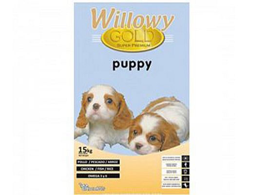 Willowy Willowy Gold puppy