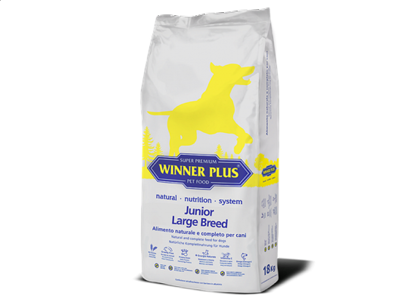 Junior Large Breed.