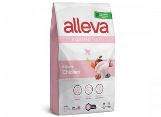 Equilibrium Chicken Kitten