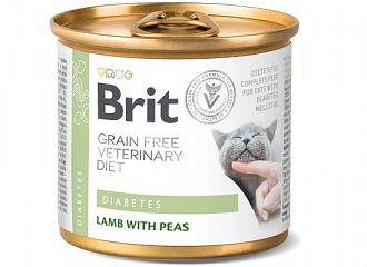 Cat Diabetes Κλινική Κονσέρβα Γάτας