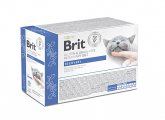 Cat Fillets in Gravy Pouches Recovery