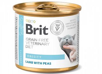 Cat Obesity Κλινική Κονσέρβα Γάτας