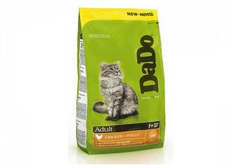 Αdult Chicken cat