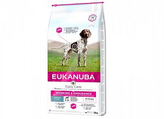 Daily Care Working & Endurance Adult Dog