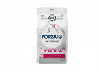 Dog Intestinal
