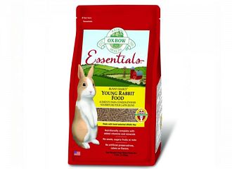 Essentials Junior Rabbit