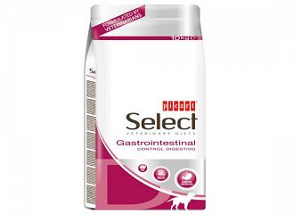 Gastrointestinal Digestion  Veterinary Diet