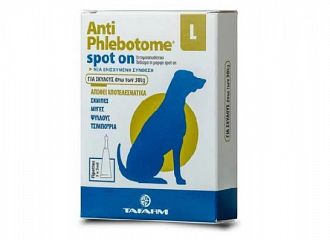 ANTIPHLEBOTOME ΑΜΠΟΥΛΑ ΣΚΥΛΟΥ SPOT ON