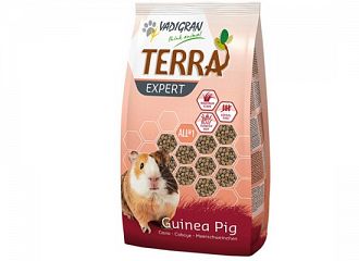 Guinea Pig Terra Expert - Timothy 