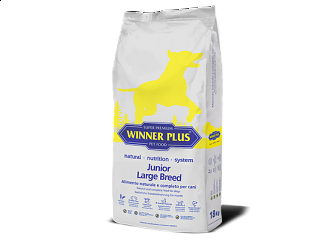 Junior Large Breed.