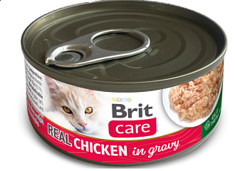  Cat Cans