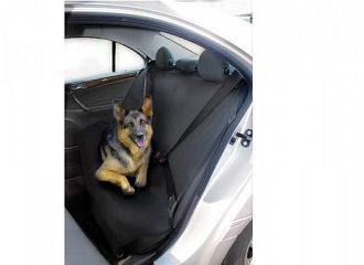 Προστατευτικό κάλυμμα πίσω καθίσματος PROTECTOR BASIC145x117