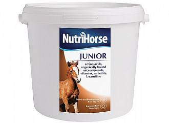Junior Horse
