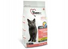Adult 1+ Years, Indoor Vitality, Chicken Formula 
