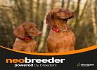 Neobreeder Professional All Breeds Ocean Fish 20kgr