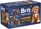 Dog Pouches Fillets in Gravy