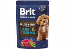 Dog Pouches Fillets in Gravy