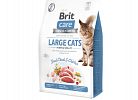 Adult Large cat Grain Free