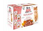 Cat Pouches Fillets in Gravy Flavour Box